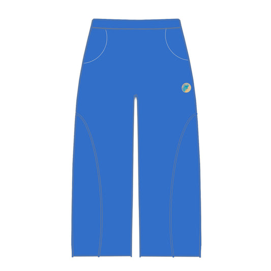 Reflective blue sweatpants
